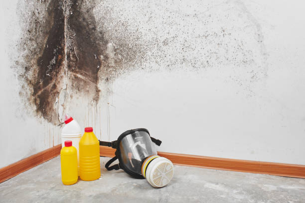 Best Mold Testing  in Alanes Ridge, CA